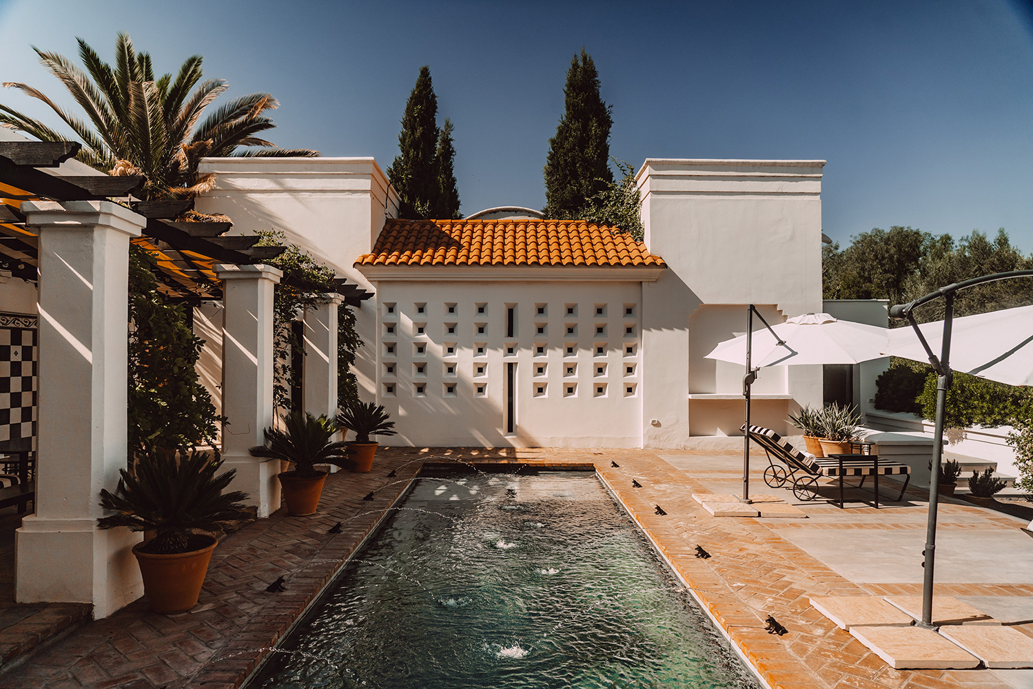 Chasing snow or sunshine